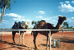 2000 - Australie 201T